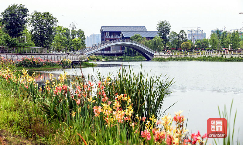 小枧生態(tài)濕地公園.jpg