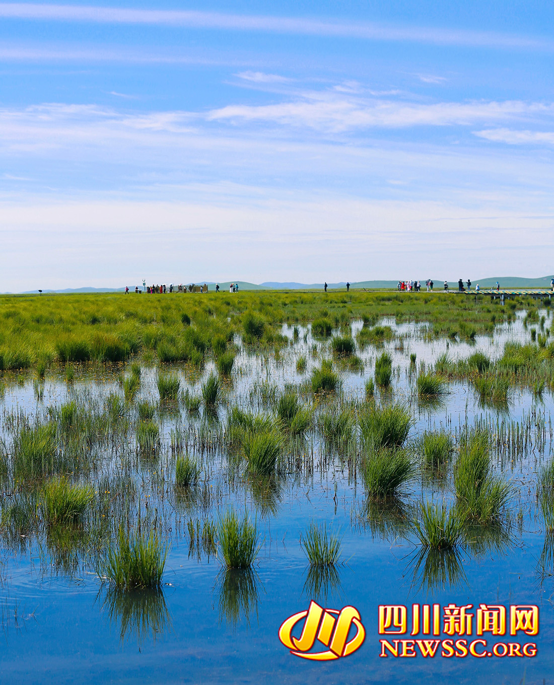 沙洲點點，水鳥翔集，探秘黃河九曲第一灣若爾蓋生態(tài)之變的“金鑰匙” (5)222222222.jpg