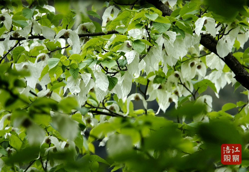 生態(tài)環(huán)境日7_1.jpg