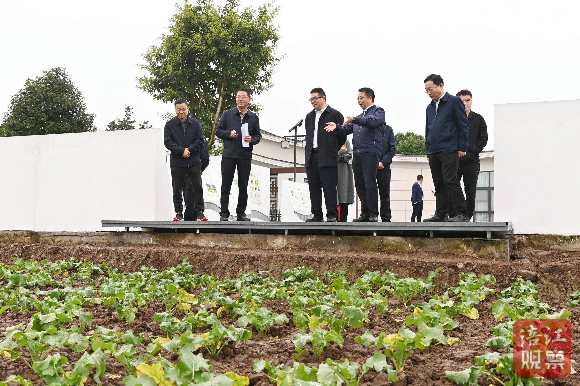 2024年11月10日，李云赴安州調(diào)研學(xué)習(xí)運用“千萬工程”經(jīng)驗4  張莉 攝.jpg